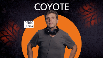 Coyote