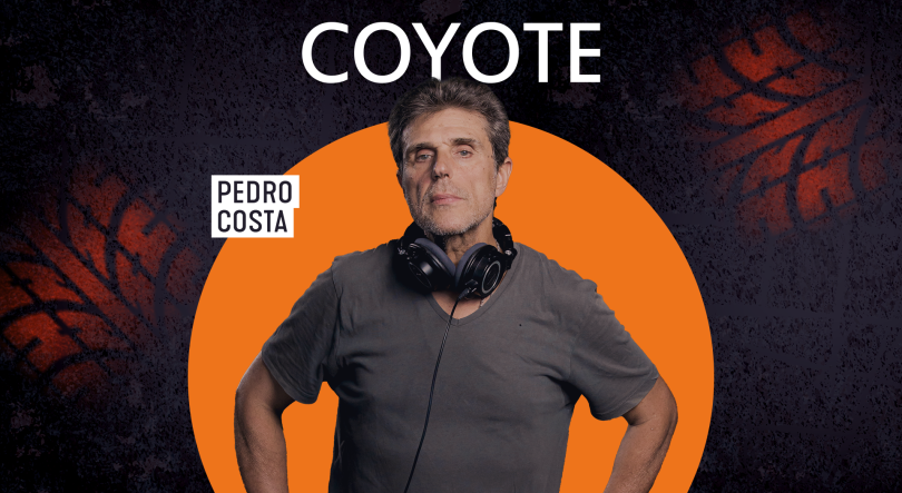 Coyote