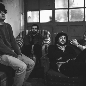 Imagem de Basset Hounds editam álbum homónimo