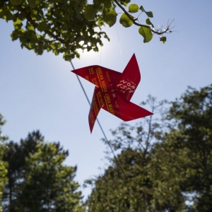 Imagem de Especial Rock Nordeste