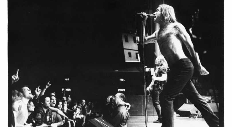 Imagem de DVD de Iggy Pop no Royal Albert Hall