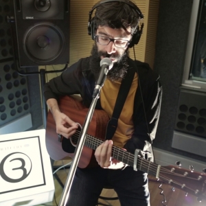 Imagem de Birds Are Indie – Partners In Crime