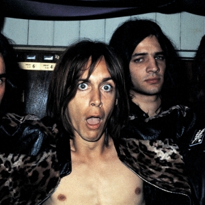 Imagem de The Stooges