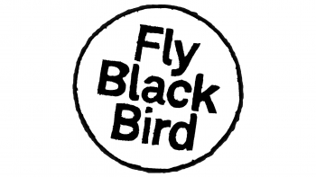 Imagem de Fly Black Bird: mais do que uma prancha de surf