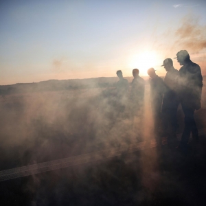 Imagem de Orelha Negra