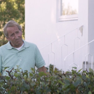 Imagem de Cinema Bold: A Árvore da Discordia