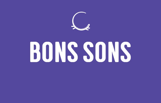 Imagem de Primeira confirmação para o Bons Sons 2019