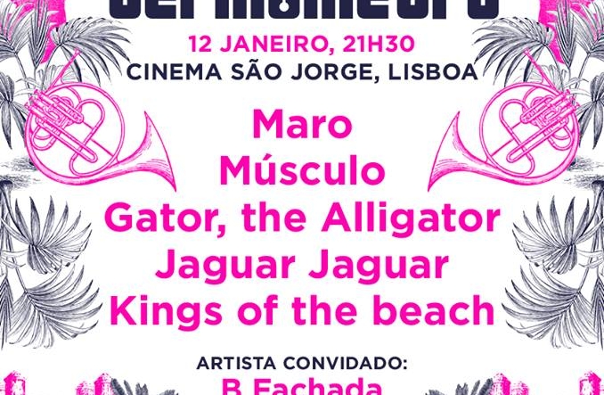 Imagem de Festival Termómetro: a final
