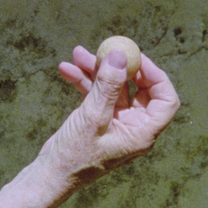 Imagem de Luísa Homem e Maria Clara Escobar