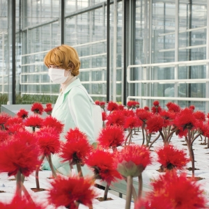 Imagem de A felicidade é um negócio no novo da Cinema Bold