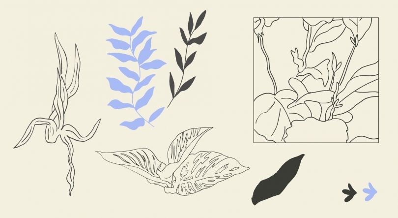 Imagem de Monday estreia o EP “Room for All” ao vivo