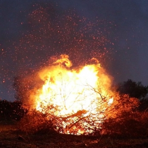 Imagem de Carolina Vieira (IndieLisboa)