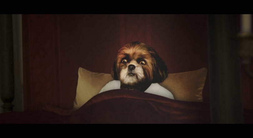 Imagem de [TERMINADO] DVD: O Filme do Bruno Aleixo