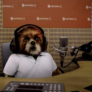 Imagem de 11 de Setembro