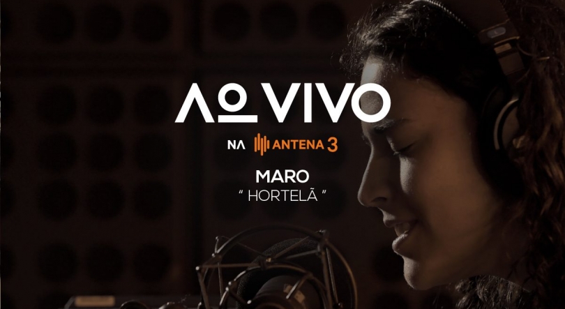 MARO – hortelã