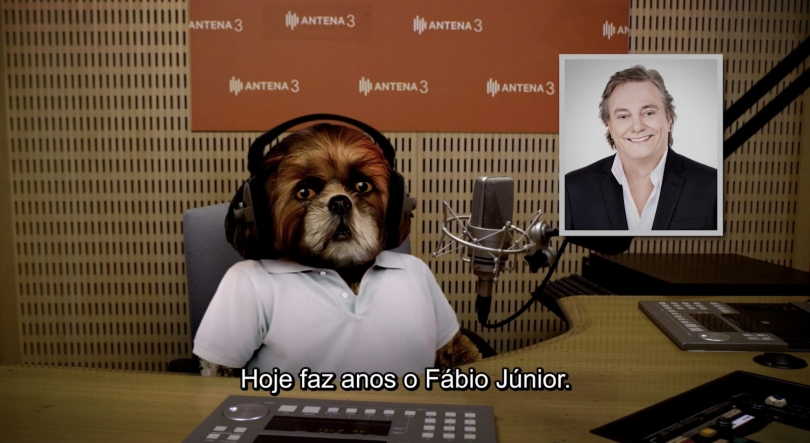 Fábio Júnior vs. Björk