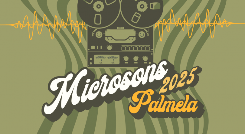 Imagem de Samuel Úria, Manel Cruz e Bia Maria confirmados no MicroSons 2025