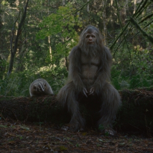 Imagem de O Crepúsculo do Pé Grande: ganha convites para a antestreia!