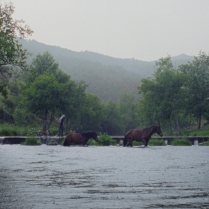 Imagem de A Savana e a Montanha: ganha bilhetes para a estreia!