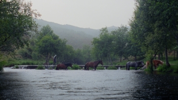 Imagem de A Savana e a Montanha: ganha bilhetes para a estreia!