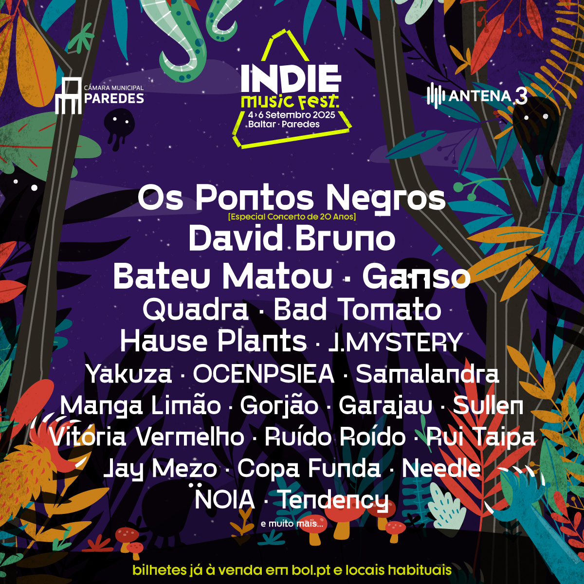 Imagem de Indie Music Fest