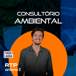 Consultório Ambiental