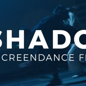 Imagem de Inshadow Festival 2025: participa na Open Call!