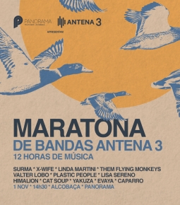 Imagem de Maratona de Bandas Antena 3