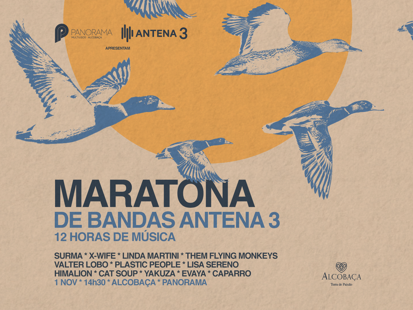 Imagem de Maratona de Bandas Antena 3