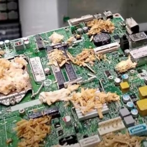 Imagem de Fricção Científica: computadores de cogumelos