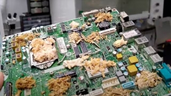 Imagem de Fricção Científica: computadores de cogumelos