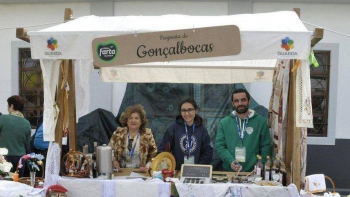 Imagem de Como funcionam mesmo as Autárquicas?