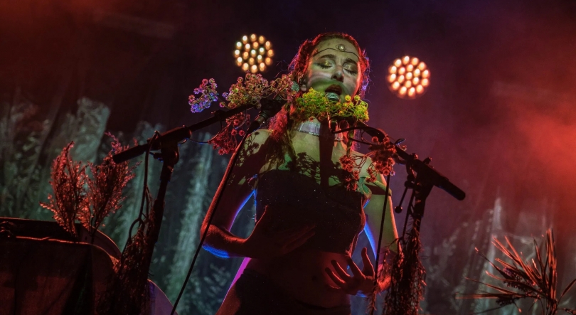 Imagem de Microsons 2026: Palmela em festa com Lena D’Água, Emmy Curl e muito mais