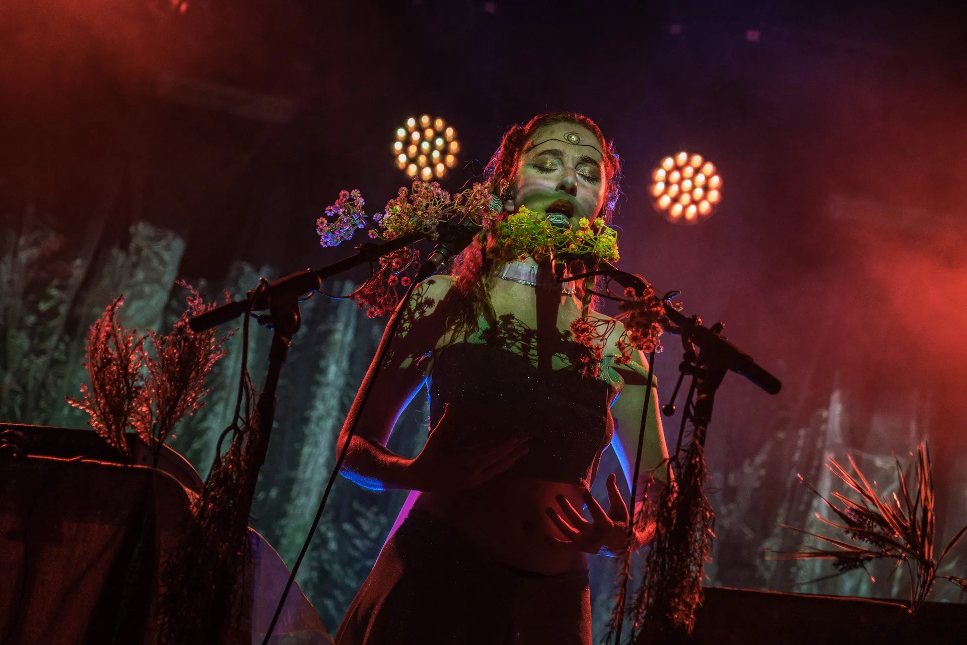 Imagem de Microsons 2026: Palmela em festa com Lena D’Água, Emmy Curl e muito mais