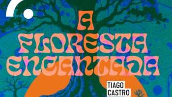 Imagem de A Floresta Encantada