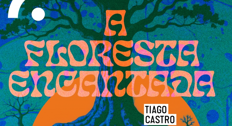 Imagem de A Floresta Encantada