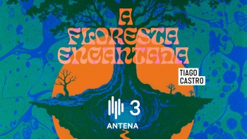 Imagem de “A Floresta Encantada” de Tiago Castro chega à Antena 3
