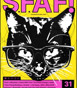 Imagem de O Salgado Faz Anos… FEST! 2026