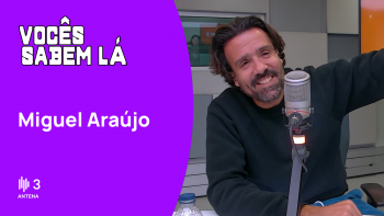 Imagem de Miguel Araújo: “Não tenho jeito para mais nada na vida a não ser isto”