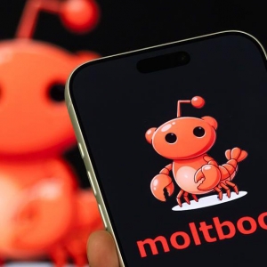 Imagem de Fricção Científica: Bots a falar entre si, humanos a assistir: será que Moltbook já passou dos limites?