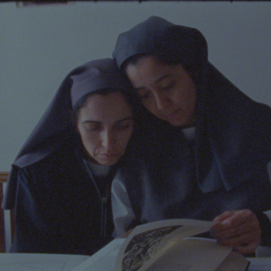 Imagem de Curtas-metragens portuguesas de Alice dos Reis e Margarida Paias na selecção do Festival de Cinema de Roterdão