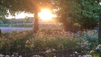 Imagem de Fricção Científica: O que é preciso para ser feliz?