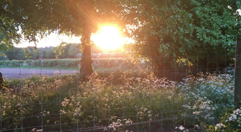 Imagem de Fricção Científica: O que é preciso para ser feliz?