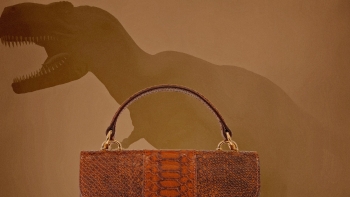 Imagem de Fricção Científica: Quem quer uma mala de pele de T.Rex?