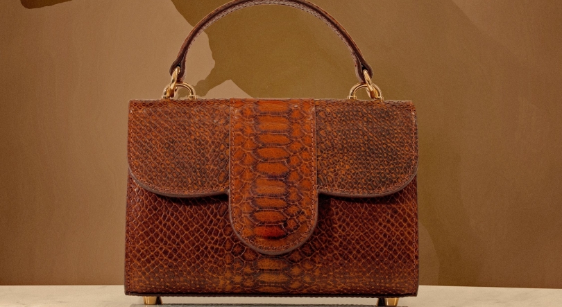 Imagem de Fricção Científica: Quem quer uma mala de pele de T.Rex?