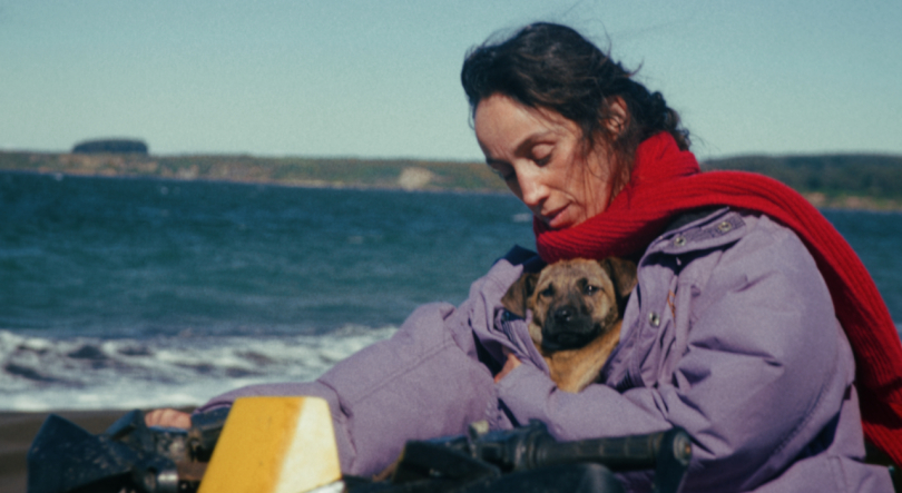 “LOW EXPECTATIONS” leva depressão e reconexão emocional a Cannes com a ajuda de girl in red
