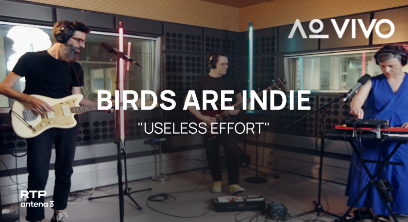 Birds Are Indie — “Useless Effort” | Ao Vivo na RTP Antena 3 | RTP Antena 3