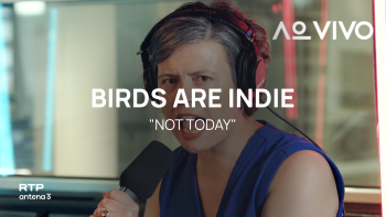 Birds Are Indie — “Not Today” | Ao Vivo na RTP Antena 3 | RTP Antena 3