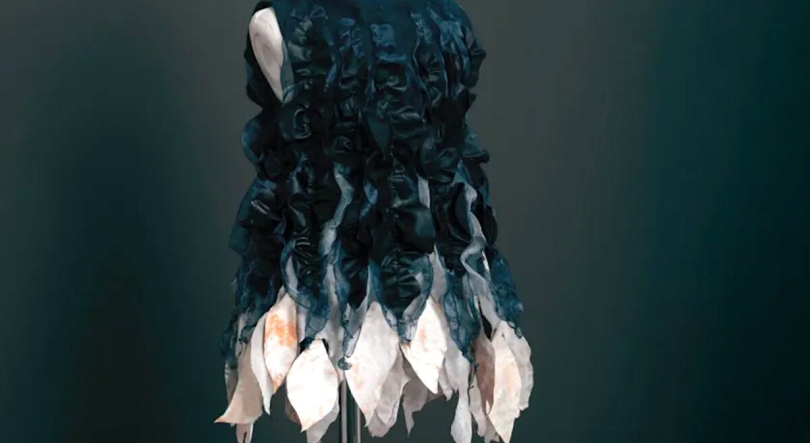 Fricção Científica: Existe roupa viva feita de fungos inspirado no “The Last of Us”