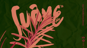 Suave Fest regressa a Guimarães com três dias de música e criação